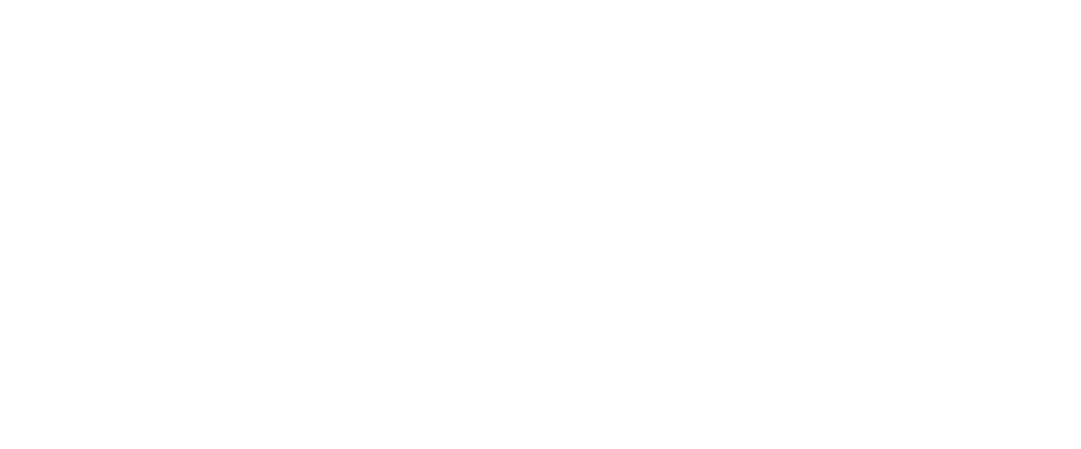 IFAUDIO logo